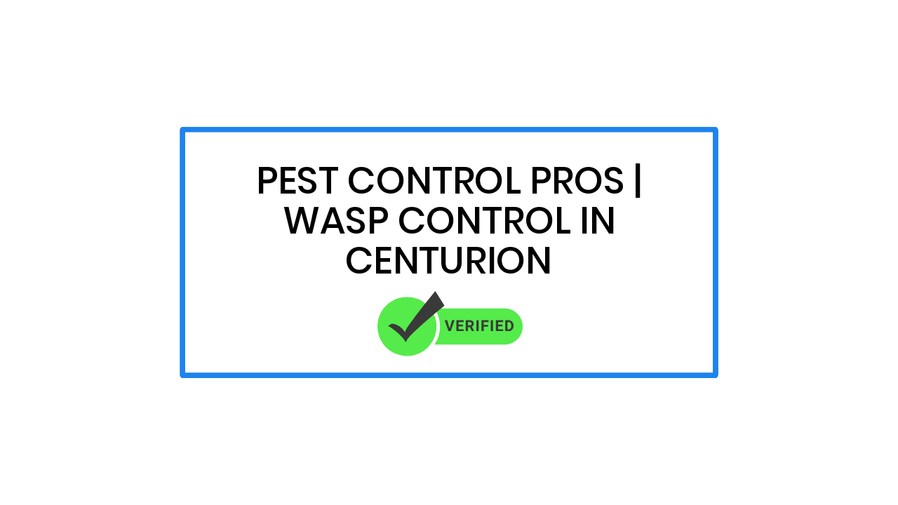 Pest Control Pros | Wasp Control in Centurion